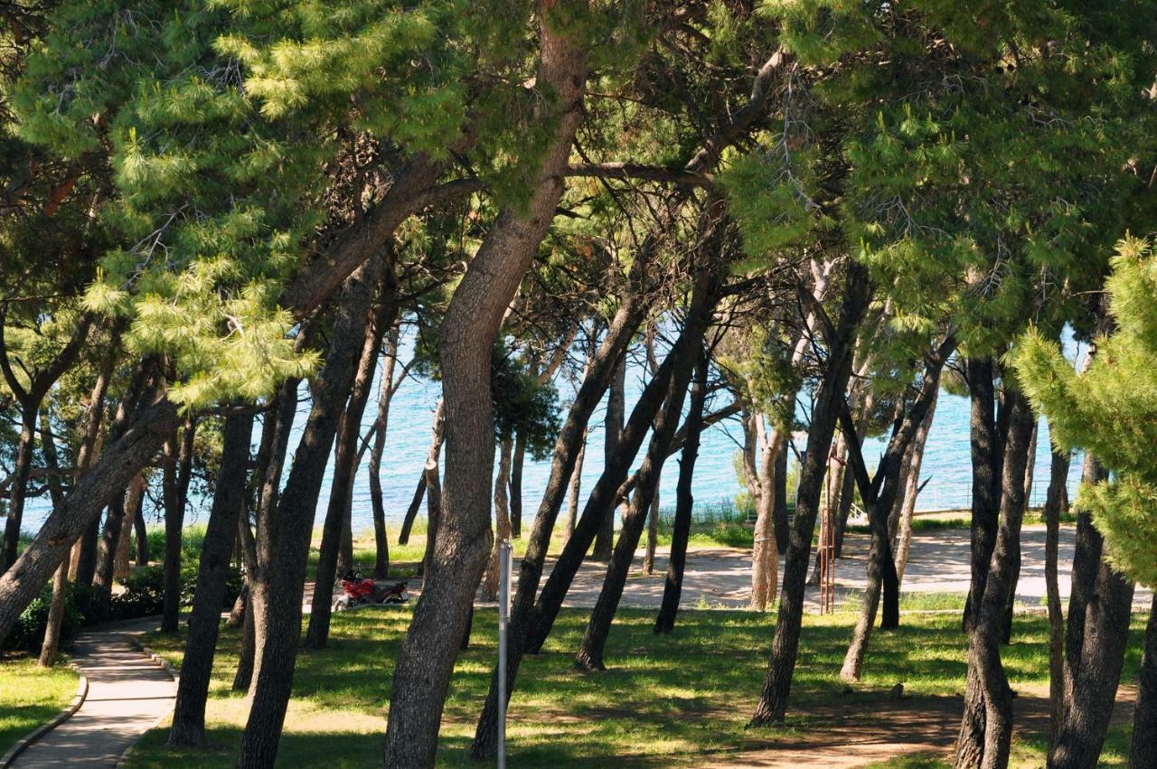 Apartma Barbara *